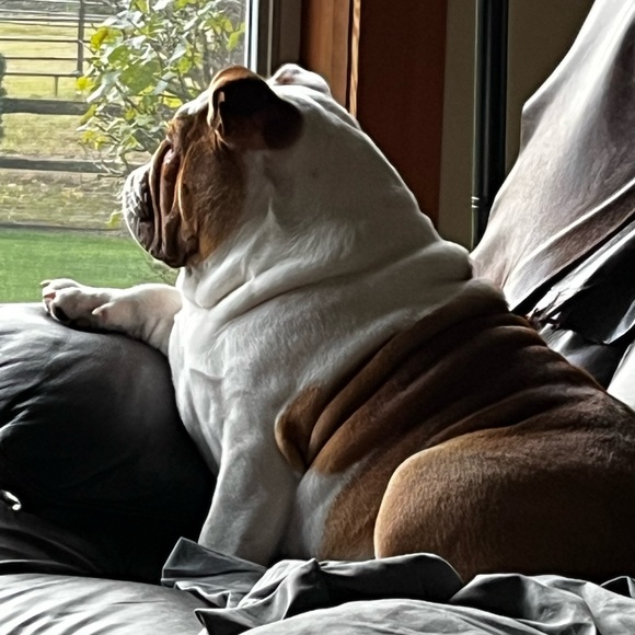 Our Baby Girl Miss Bella B - Picture 10 of 16